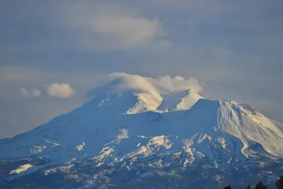 DSC_6003 (Large).JPG